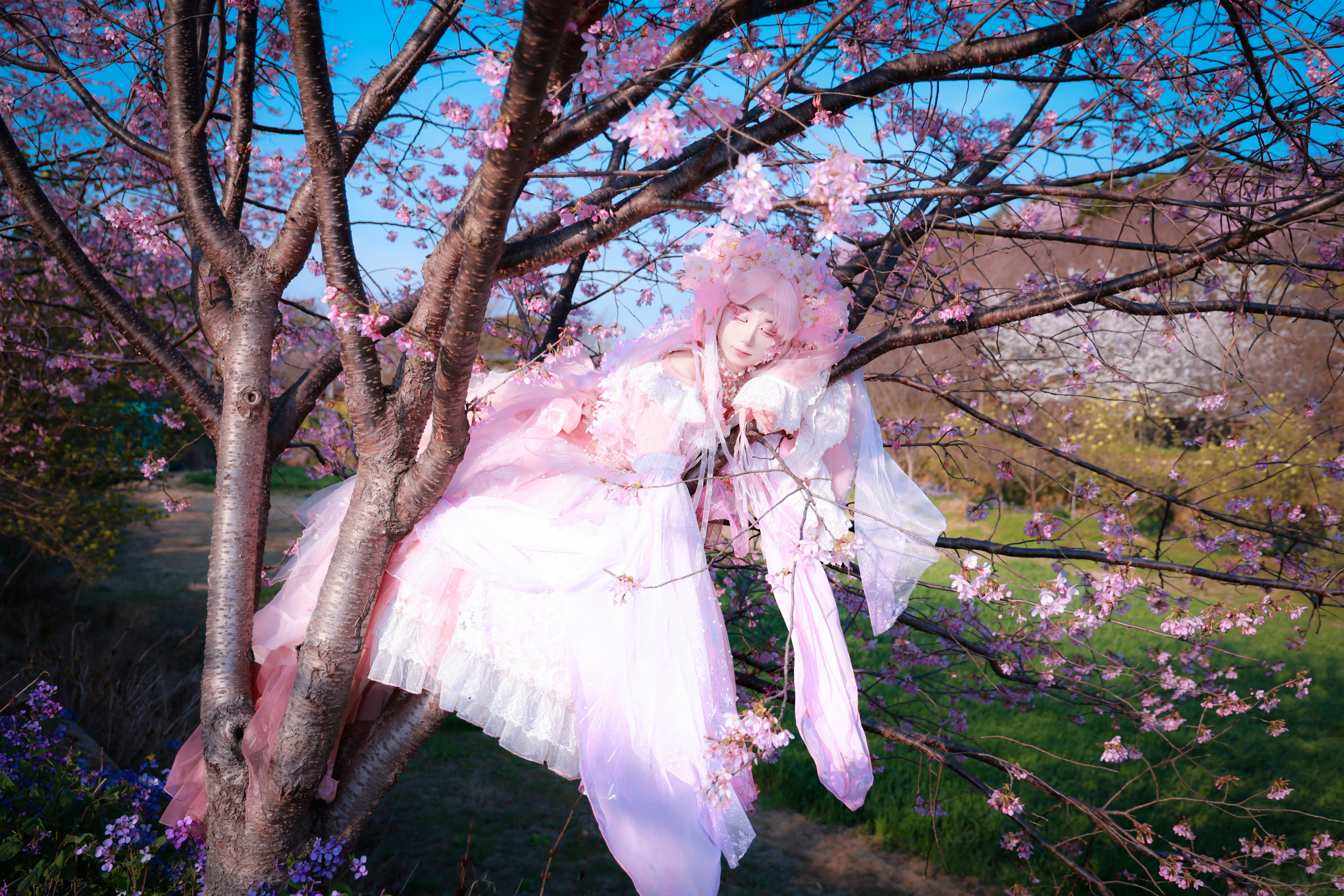 樱花拟人cos-cos扮之狐狸-二次元游戏知识平台