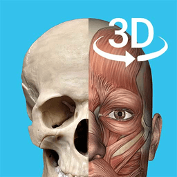 3d人体解剖学三维图谱app v1.3 最新版