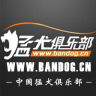 猛犬俱乐部手机版 v6.3.8 最新版