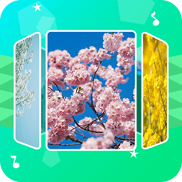 音乐相册助手 v1.1.0 安卓版