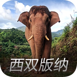 西双版纳亚洲象预警平台 v0.1.80 安卓版