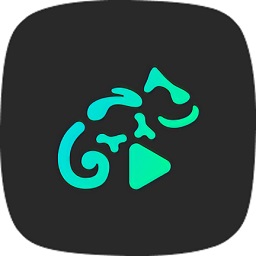 stellio player高级版 v6.2.15 安卓中文版