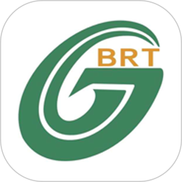 善国行BRT v2.0.6 最新版