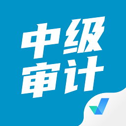 中级审计师考试试题 v2.0.4 最新版