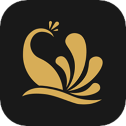 雀翎集商app v1.1.9 最新版