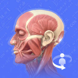 2025人体解剖学图谱 v2.4.2 最新版