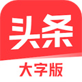 今日头条大字版 v8.4.9 安卓版