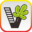 我要自学网app v1.11.1安卓版