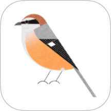 孤独的鸟类大全 v1.4