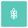 超能搜 v1.0