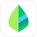 薄荷记账app v11.5.6