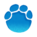 大象新闻极速版app v5.8.2 安卓版