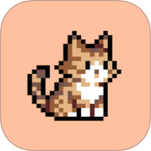 豆画 v1.1