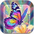 悦涂壁纸软件 v1.1.9