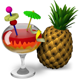 HandBrake(视频转换器)v1.9.2中文版