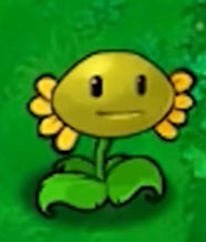 植物大战僵尸资本家版电脑版