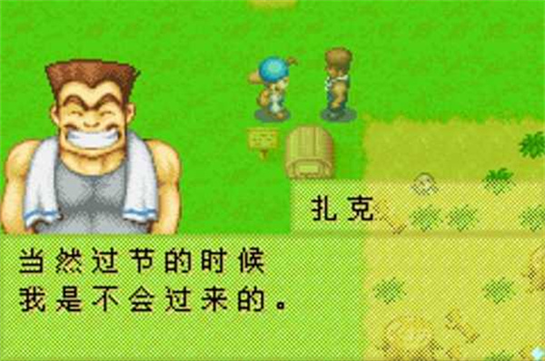 牧场物语矿石镇的伙伴们手游