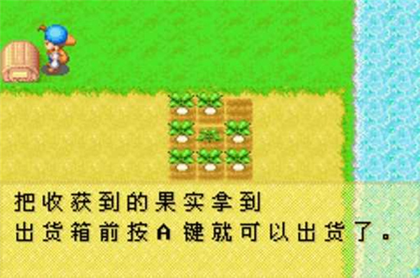 牧场物语矿石镇的伙伴们手游