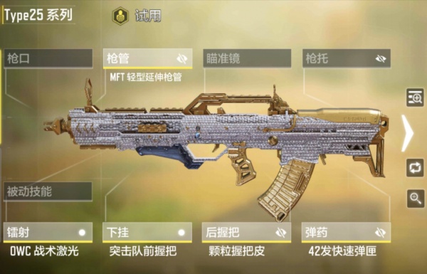 Type25截图