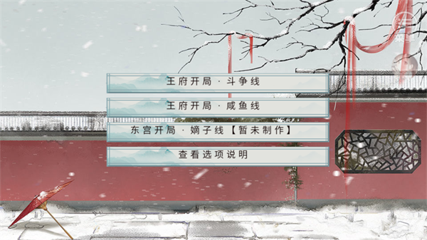 王妃记事