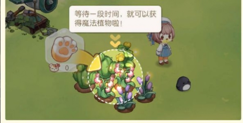 奥比岛：梦想国度周年版