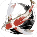 洄溯沙棠安卓版 v0.4.0最新版