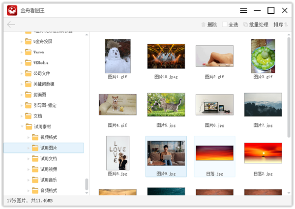 金舟看图王