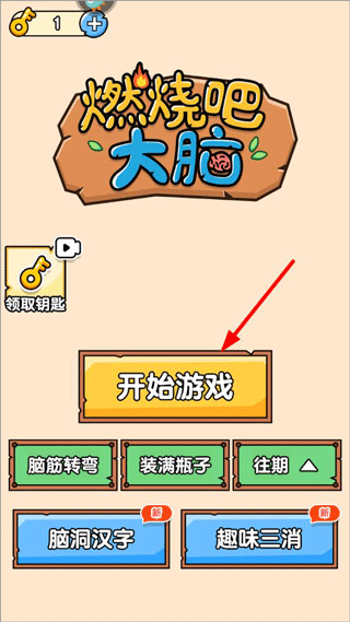 燃烧吧大脑九游版
