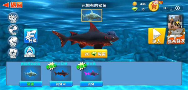 鲨鱼升级攻略2