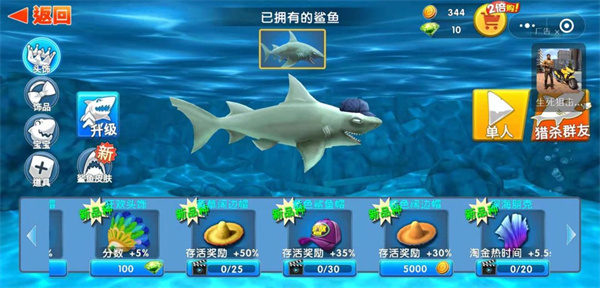 鲨鱼升级攻略3