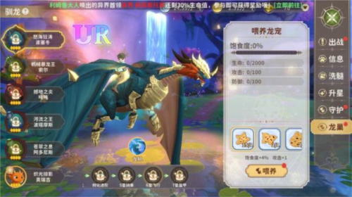 龙骑士学园2025