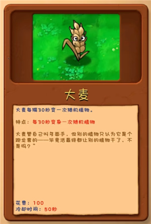 火红莲截图2