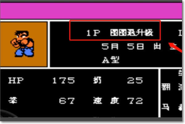 热血格斗传奇汉化版
