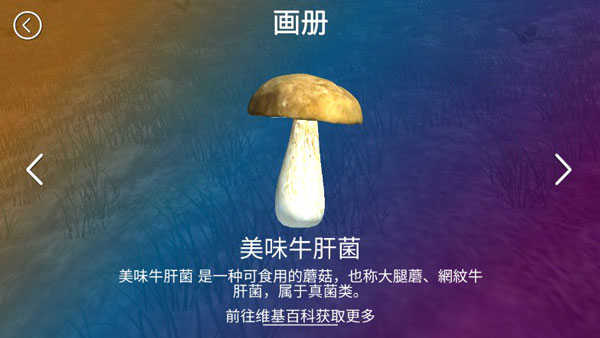 真实采集蘑菇模拟器安卓版