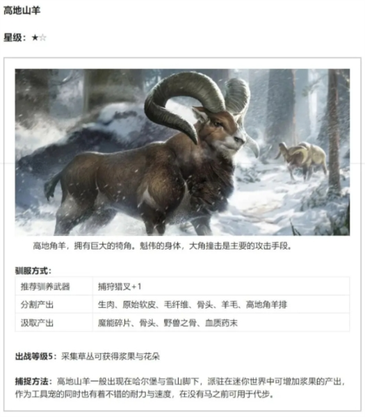 黑光生存进化官方正版