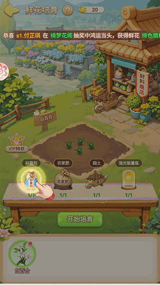 我的花园世界游戏
