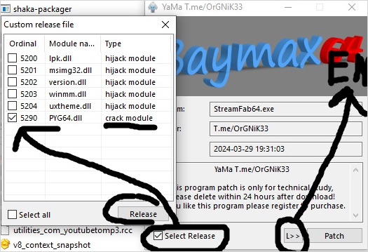 DVDFab13