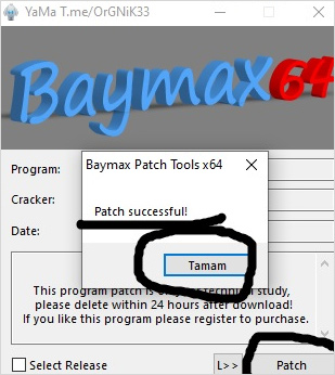 DVDFab13