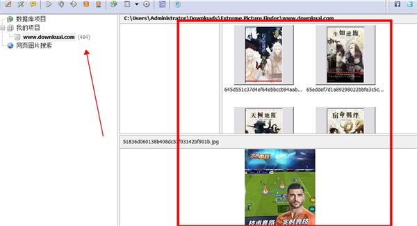 Extreme Picture Finder(网络图片批量下载工具)