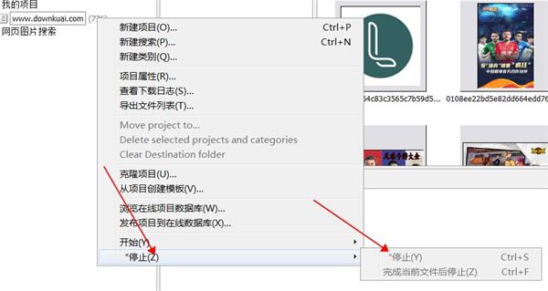 Extreme Picture Finder(网络图片批量下载工具)
