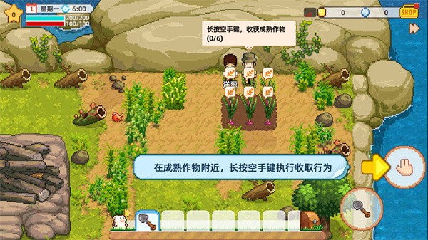 奶牛镇的小时光