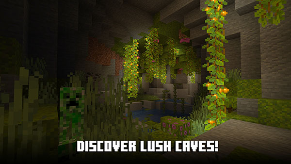 我的世界基岩版(Minecraft)