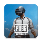 PUBG地铁逃生2025 V 3.9.0安卓版