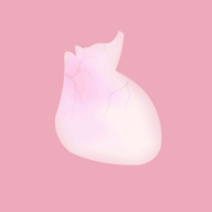 生命life v1.0官方版