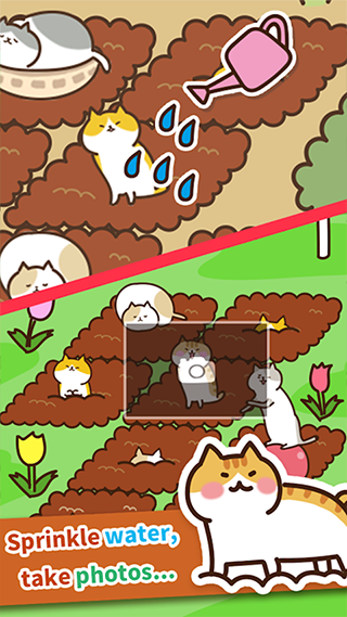 猫咪田园手游