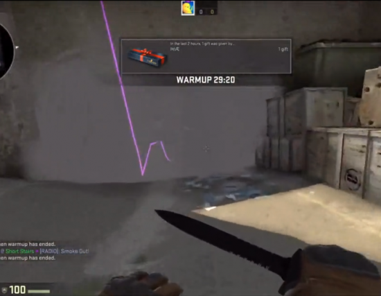 Csgo枪战者联盟整合版