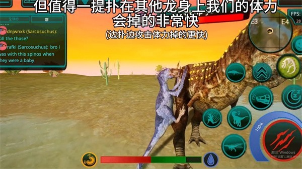 诅咒之岛国际服新版