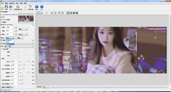 photozoom pro9
