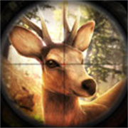 模拟猎人内置mod作弊版 v1.0.0.0122