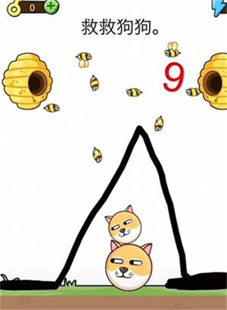 我的狗狗